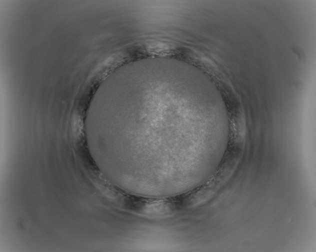 X0000113760705200909231205
