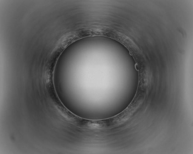 X0000113760706200909231205