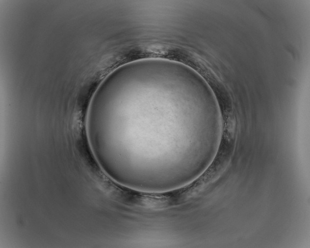 X0000113760707200909231205
