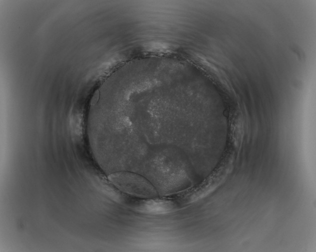 X0000113760708200909231205