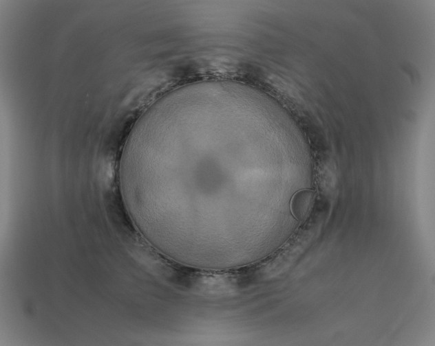 X0000113760709200909231205