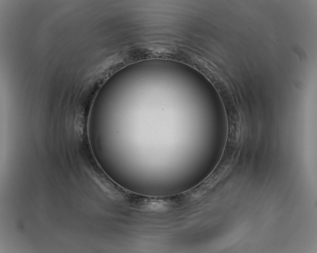 X0000113760710200909231205