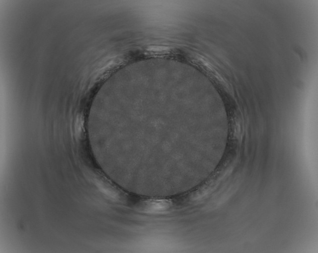 X0000113760711200909231205