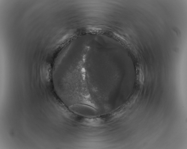 X0000113760712200909231205