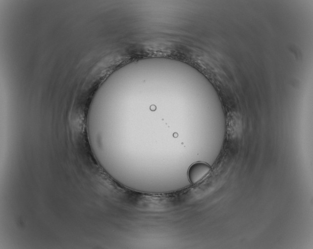 X0000113760713200909231205