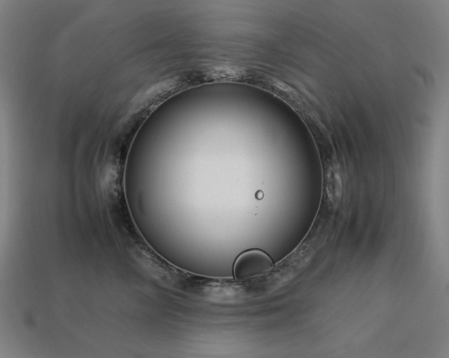 X0000113760714200909231205