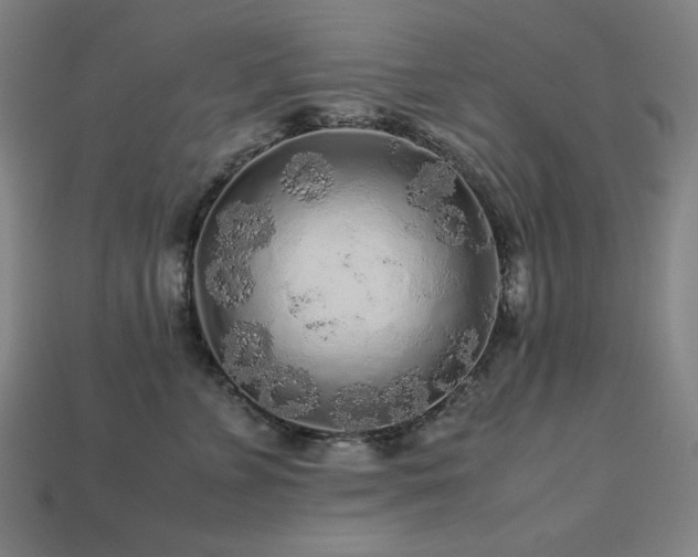 X0000113760715200909231205