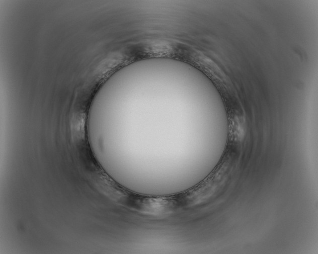 X0000113760717200909231205