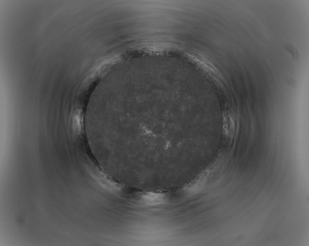 X0000113760718200909231205