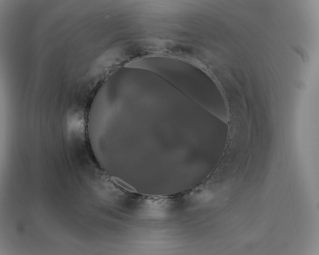 X0000113760720200909231205