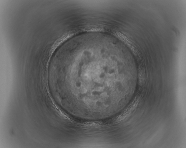 X0000113760721200909231204