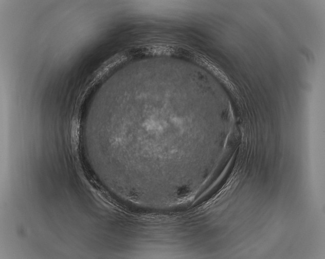 X0000113760722200909231204