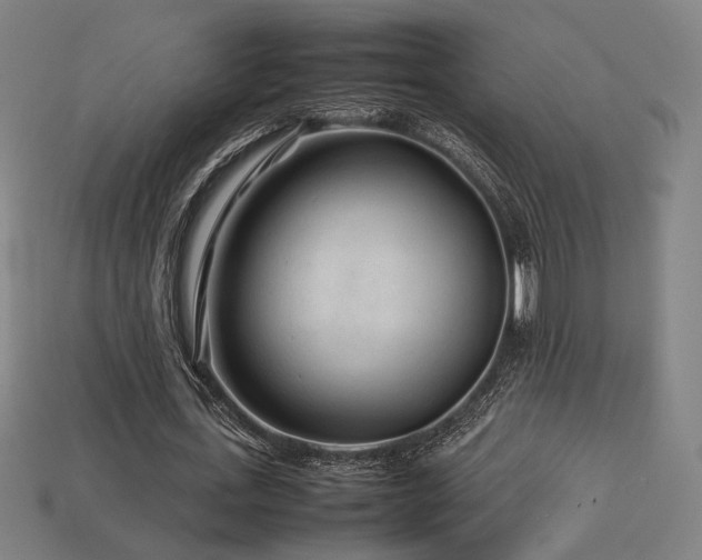 X0000113760723200909231204
