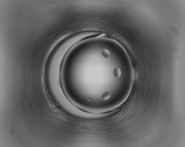X0000113760724200909231204