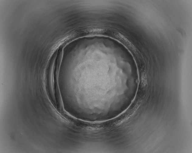 X0000113760725200909231204