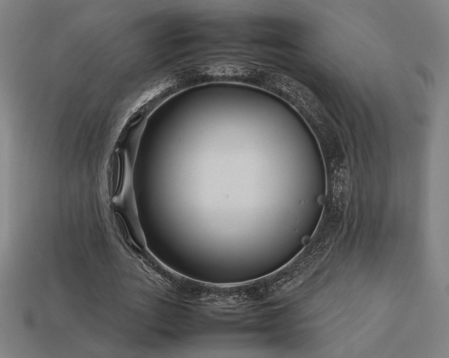 X0000113760727200909231204
