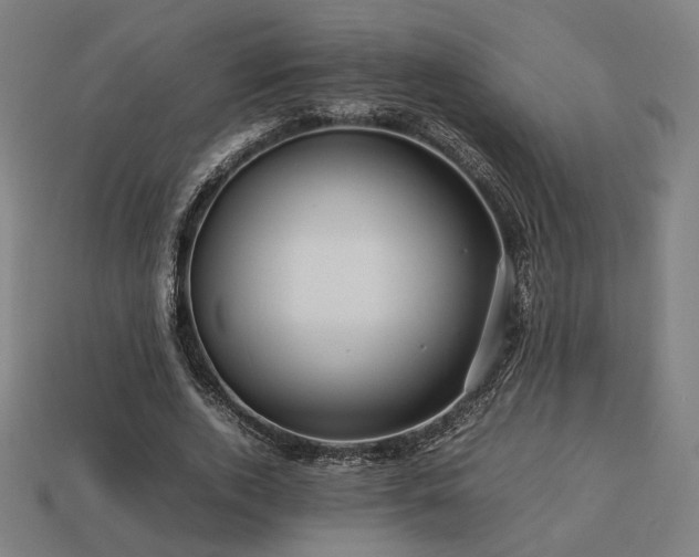 X0000113760728200909231204
