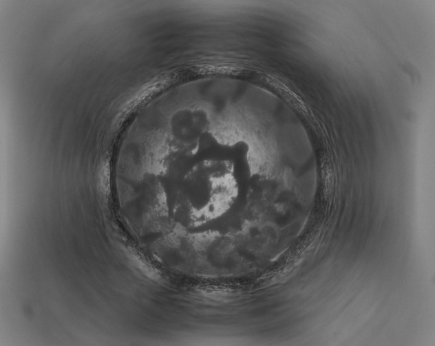 X0000113760729200909231204