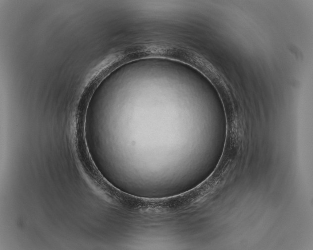 X0000113760730200909231204