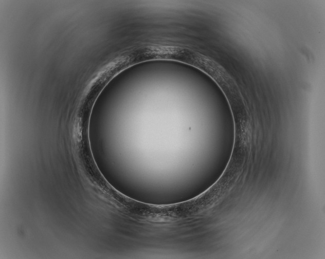 X0000113760731200909231204
