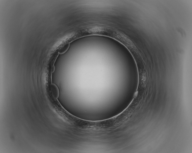 X0000113760732200909231204