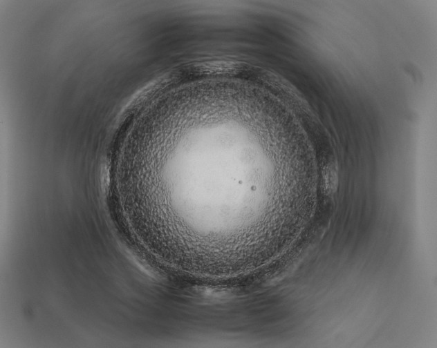 X0000113760733200909231204