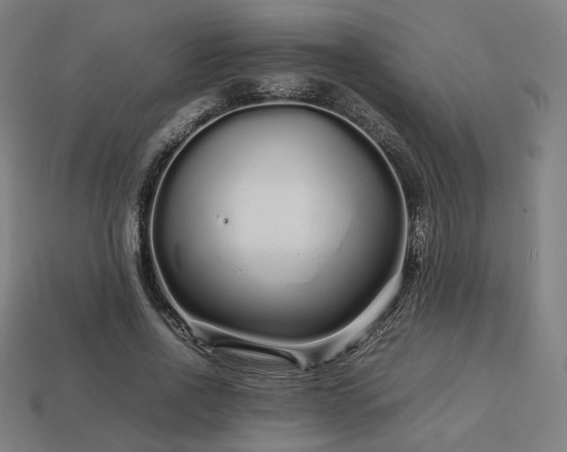 X0000113760734200909231204