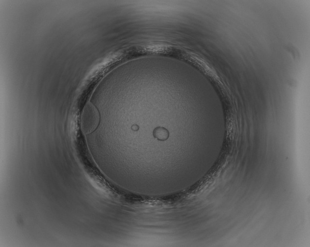 X0000113760736200909231205