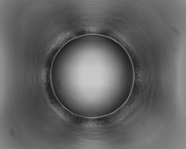 X0000113760738200909231205