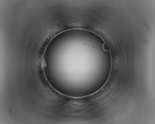 X0000113760739200909231205
