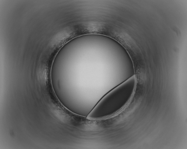 X0000113760740200909231205