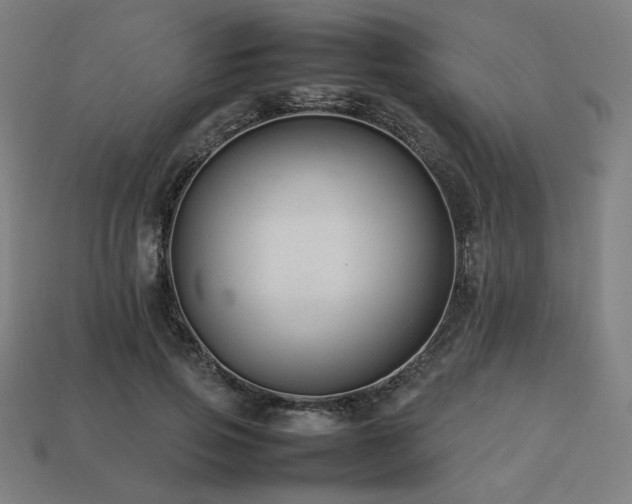 X0000113760741200909231205