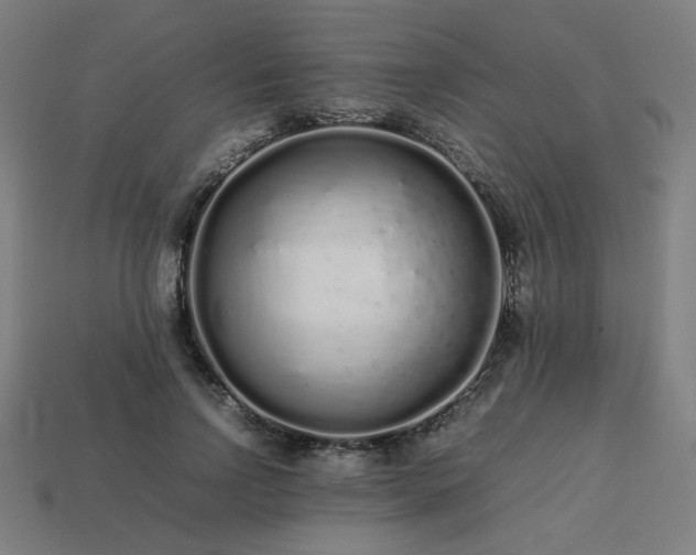 X0000113760742200909231205