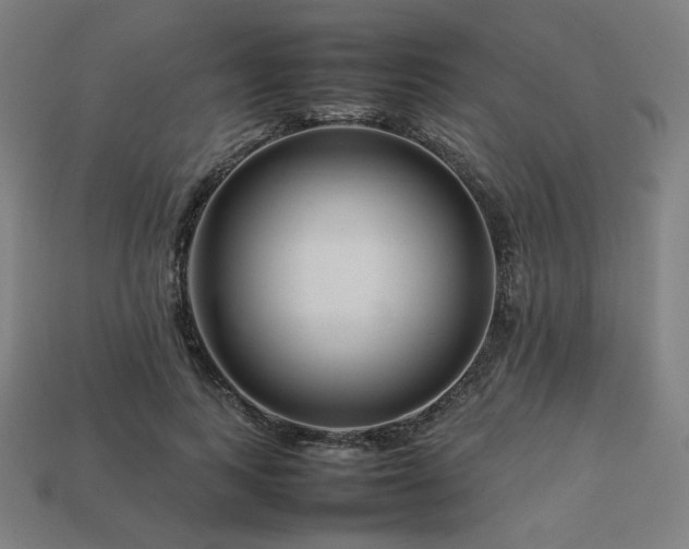 X0000113760743200909231205
