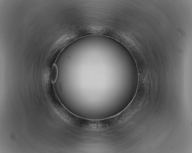 X0000113760744200909231205
