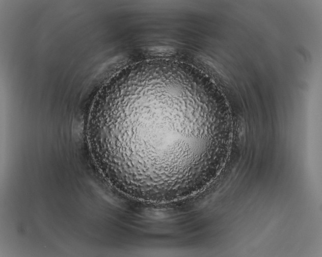 X0000113760745200909231205