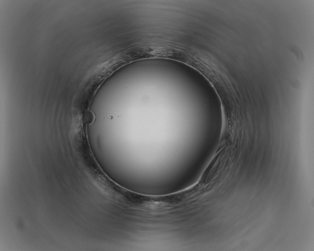 X0000113760748200909231205