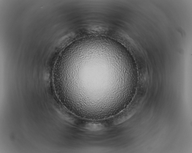 X0000113760749200909231205