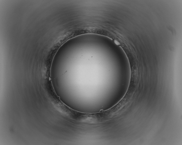 X0000113760750200909231205