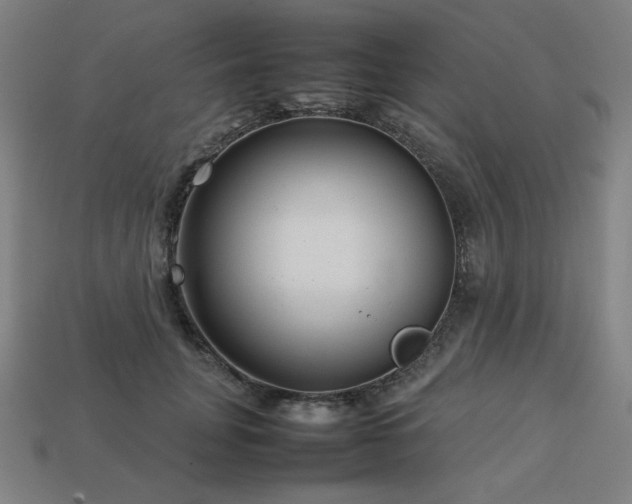 X0000113760751200909231205