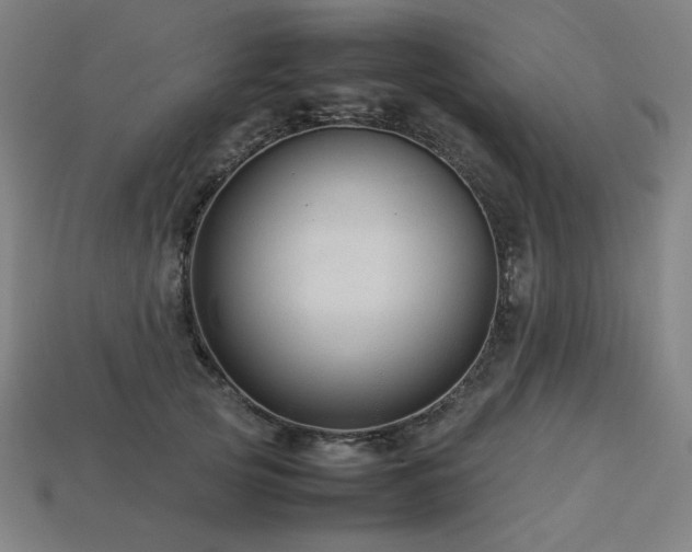 X0000113760753200909231205
