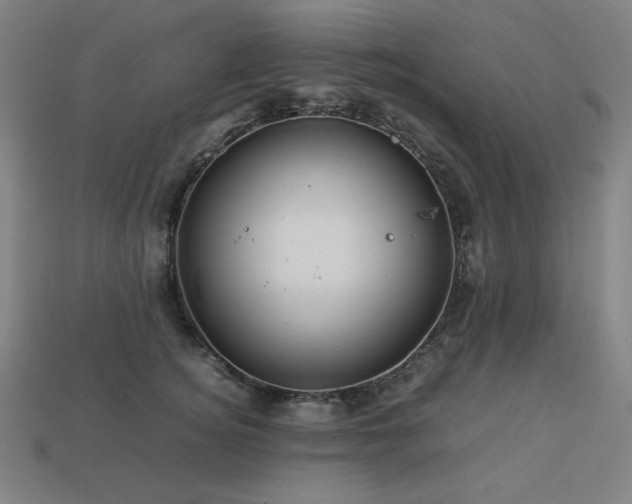 X0000113760756200909231205
