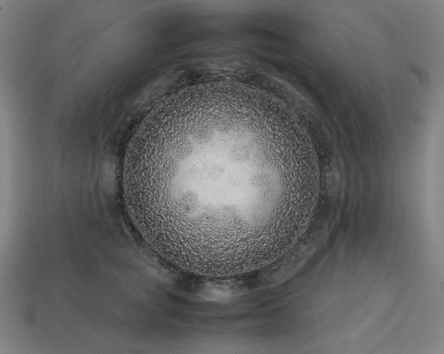 X0000113760757200909231205