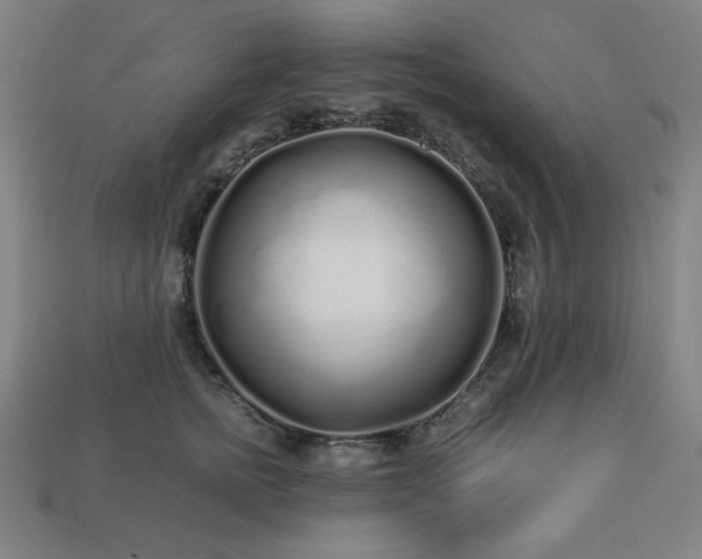 X0000113760758200909231205