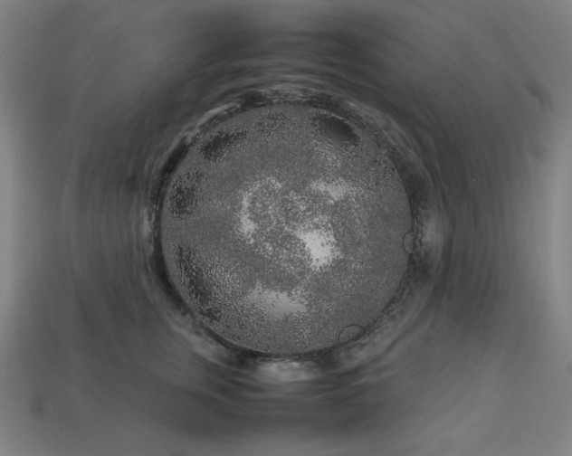 X0000113760759200909231205