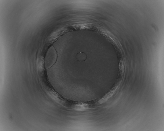 X0000113760760200909231205