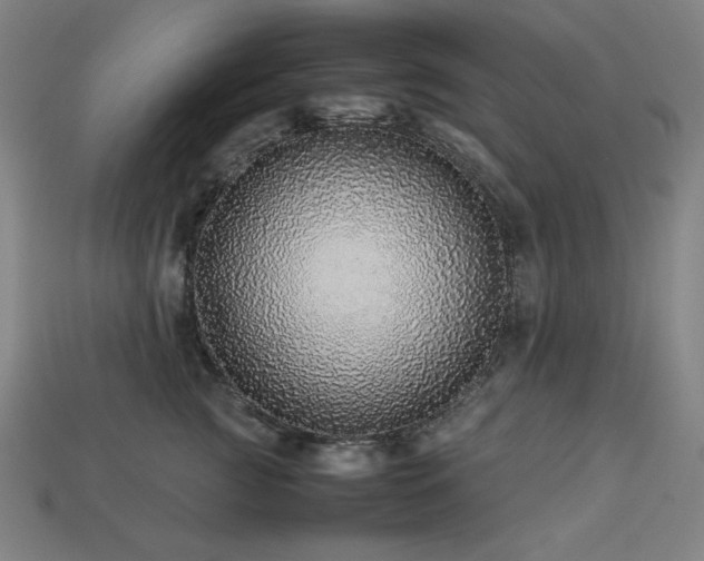 X0000113760761200909231205