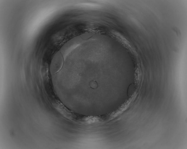 X0000113760762200909231205