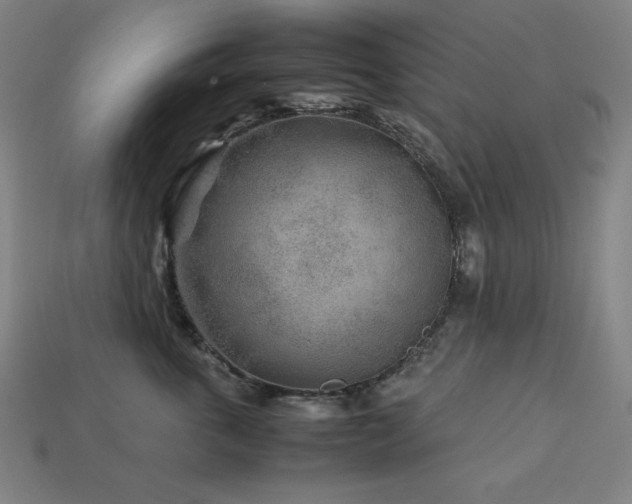 X0000113760763200909231205
