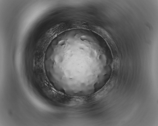 X0000113760765200909231205